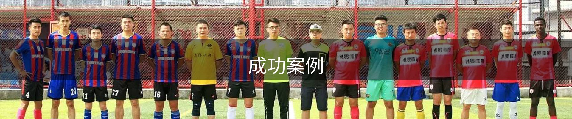 成功案例